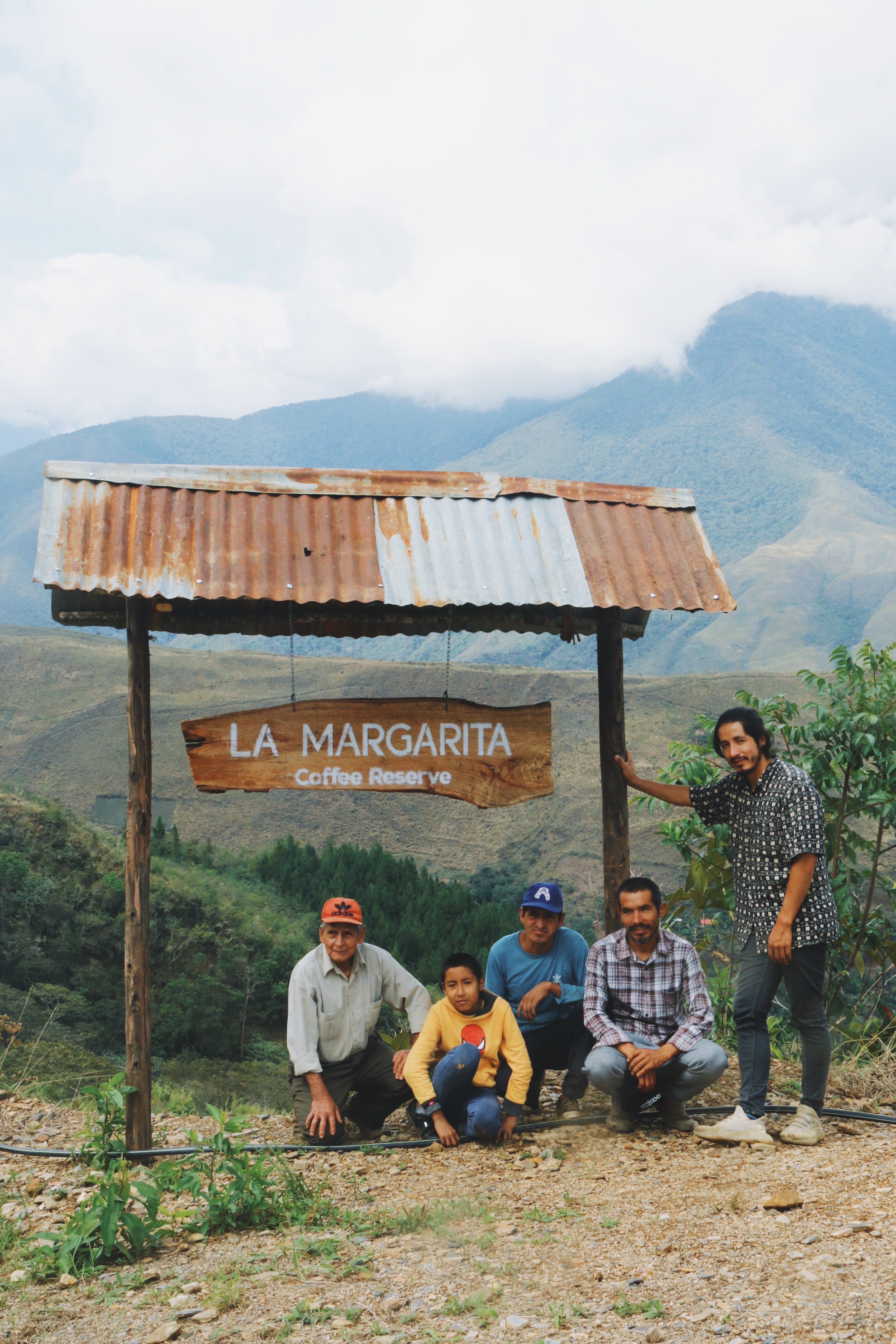 La Margarida Geisha Groc