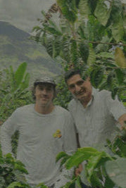 La Flor del Norte Geisha