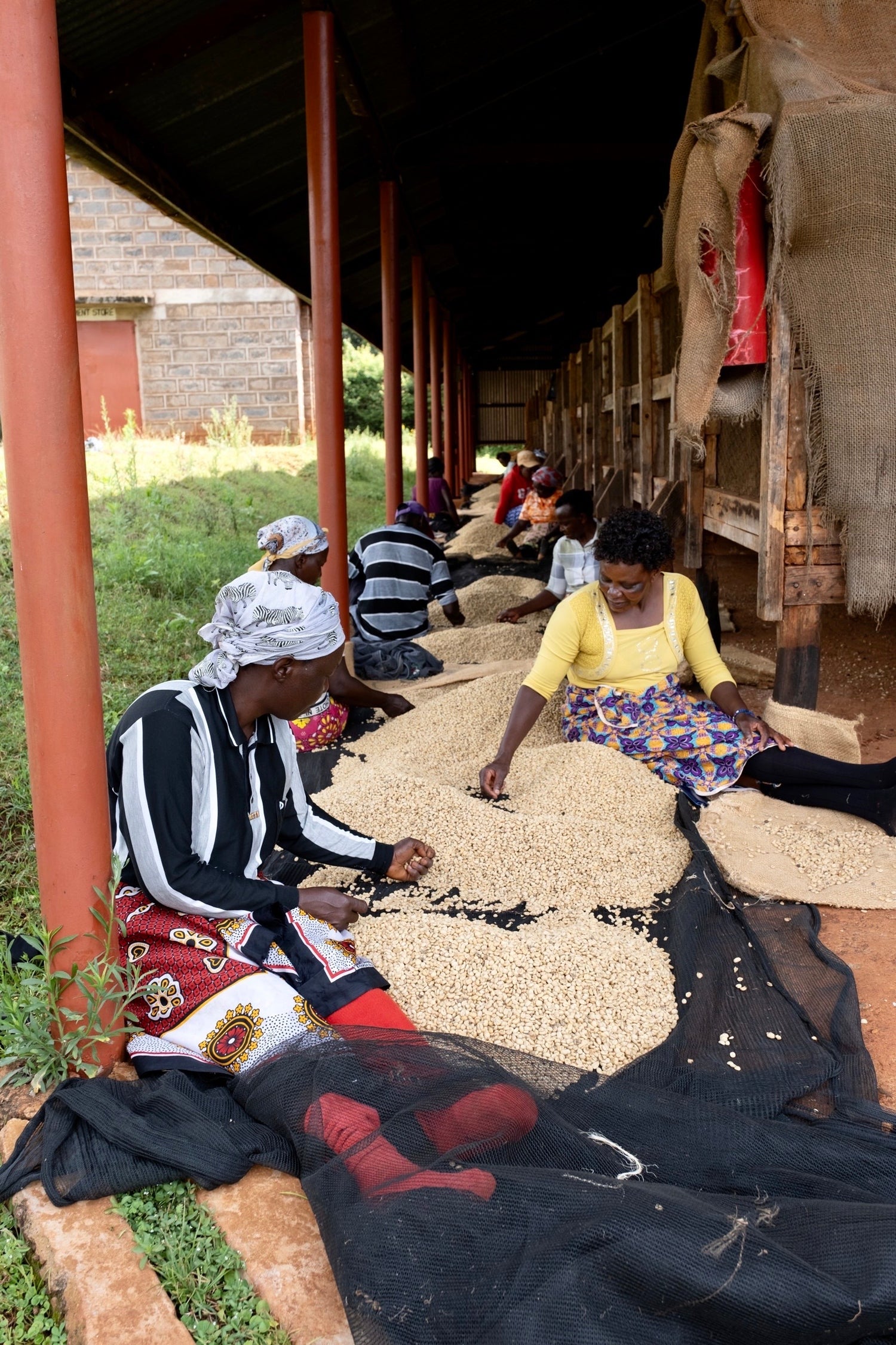 LA FLOR DEL NORD GEISHA NATURAL