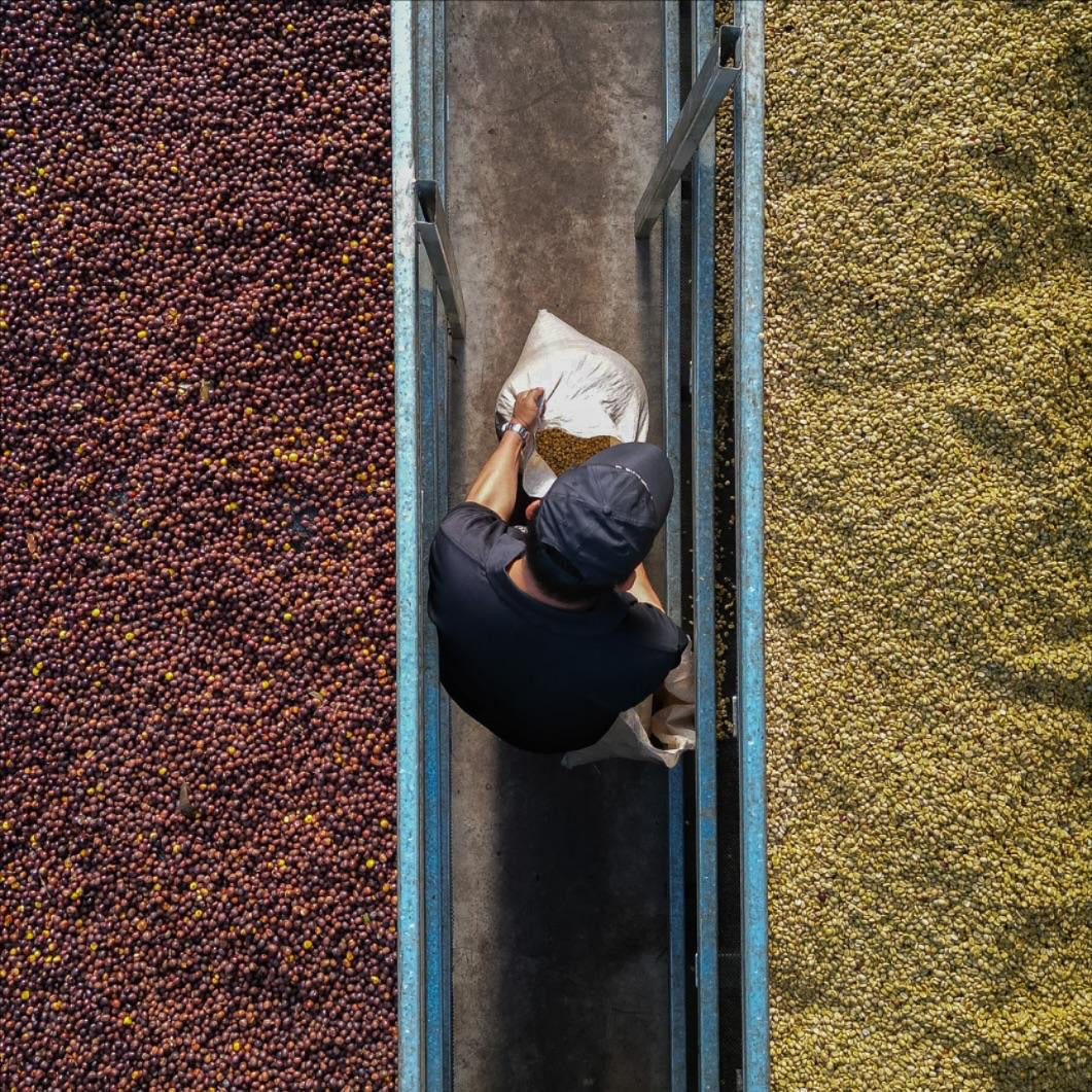 BAMBITO STATE CATUAI ANAEROBIC