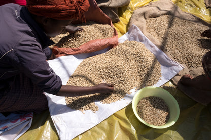 LA FLOR DEL NORD GEISHA NATURAL
