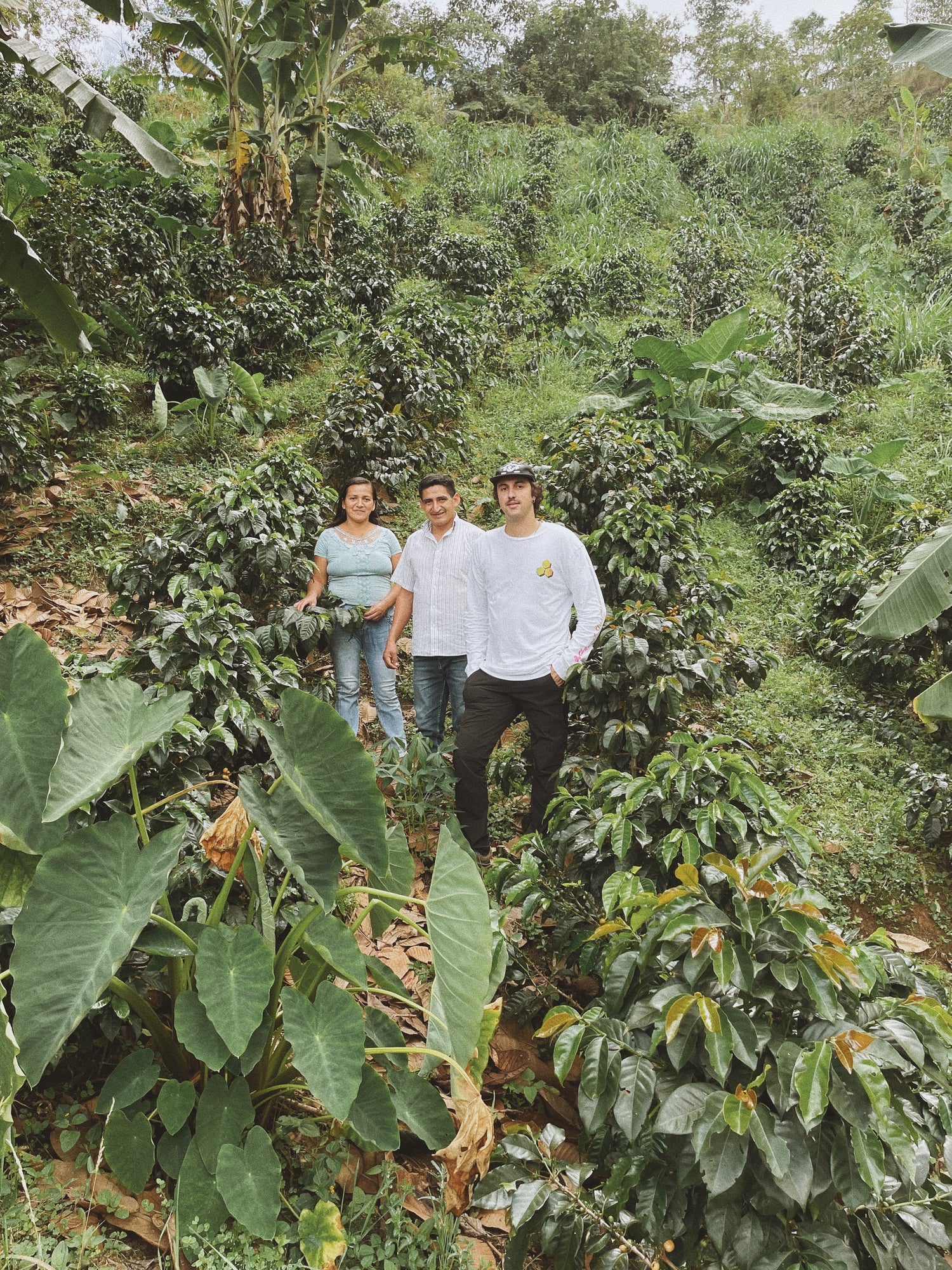 Pack Expresión de Finca:  La Flor del Norte