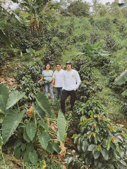 Pack Expresión de Finca:  La Flor del Norte