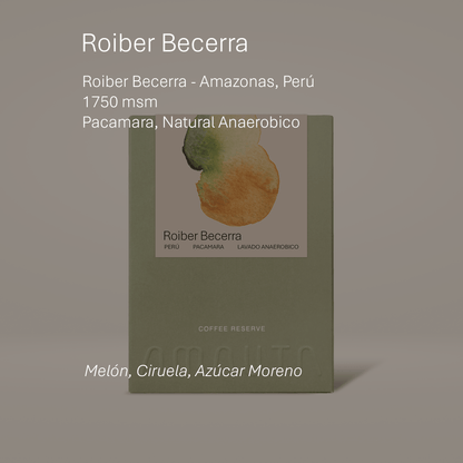 Los Morales Pacamara