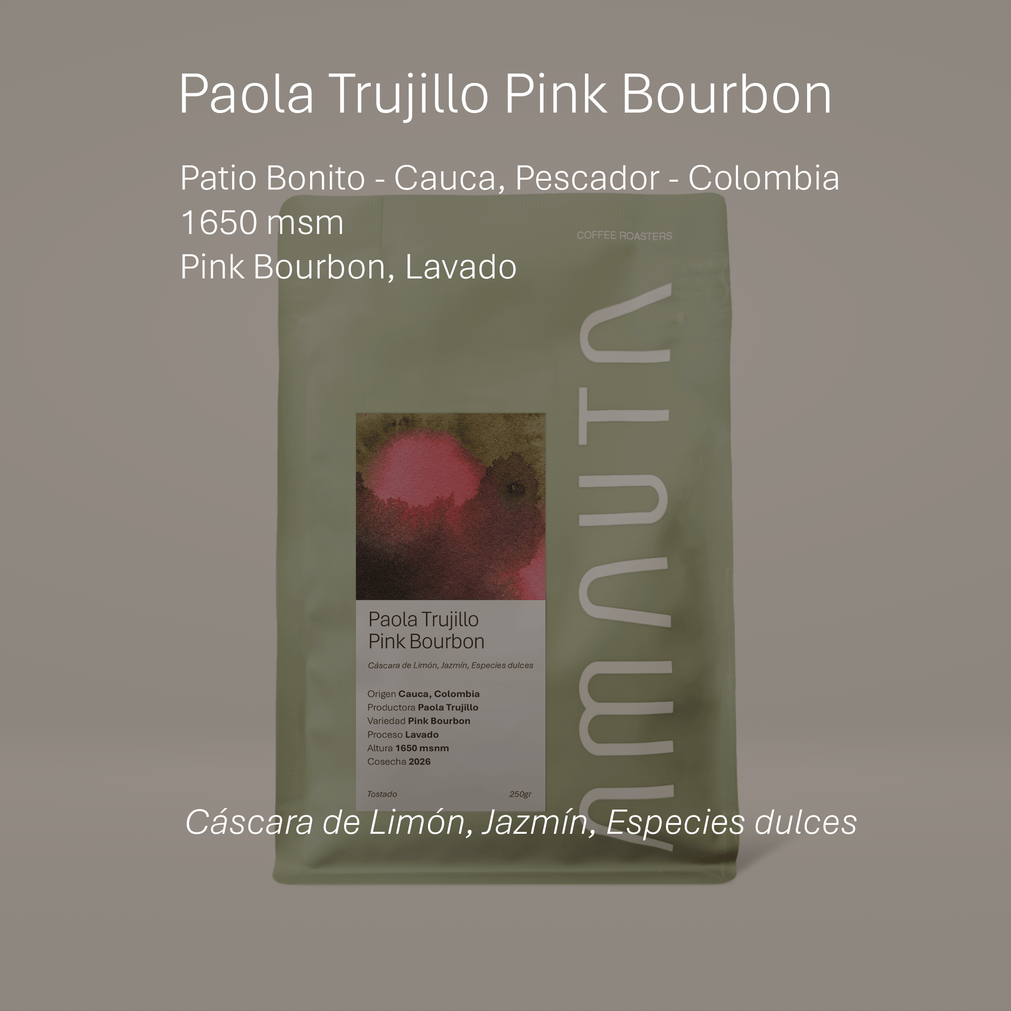 Paola Trujillo Pink Bourbon