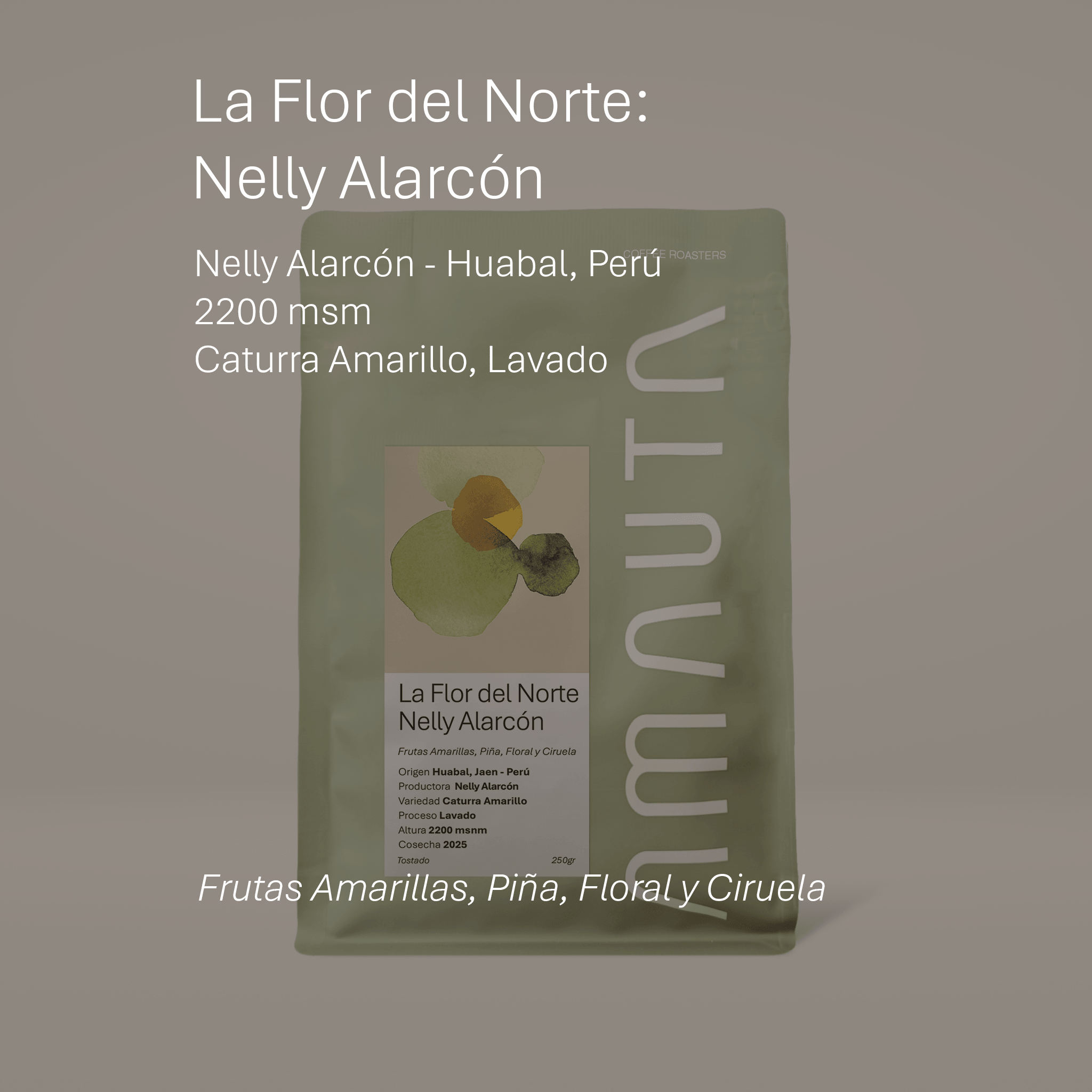 La Flor del Norte: Nelly Alarcón
