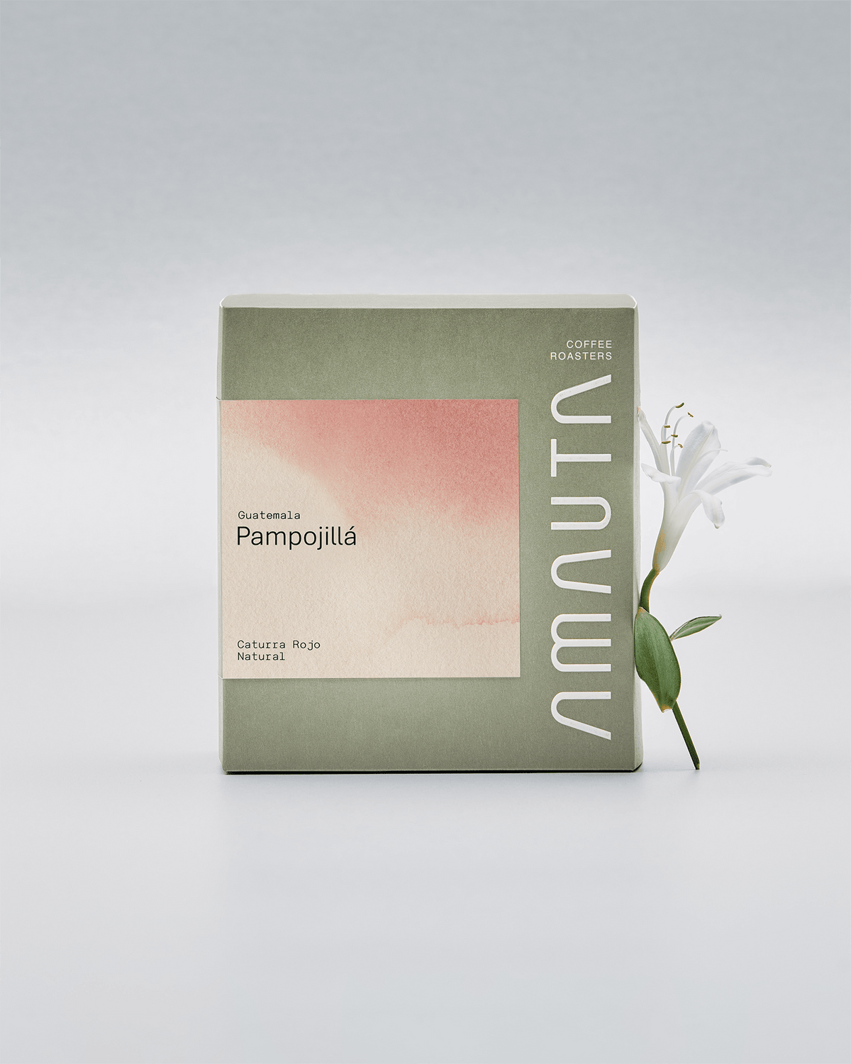 Pampojillá