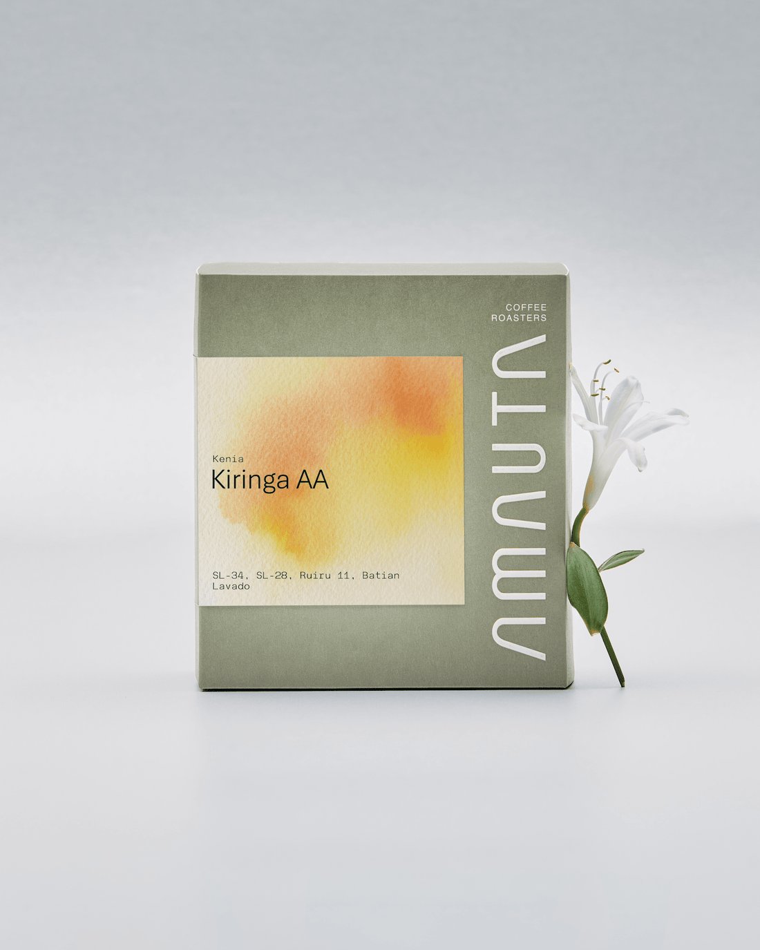 KENIA KIRINGA AA