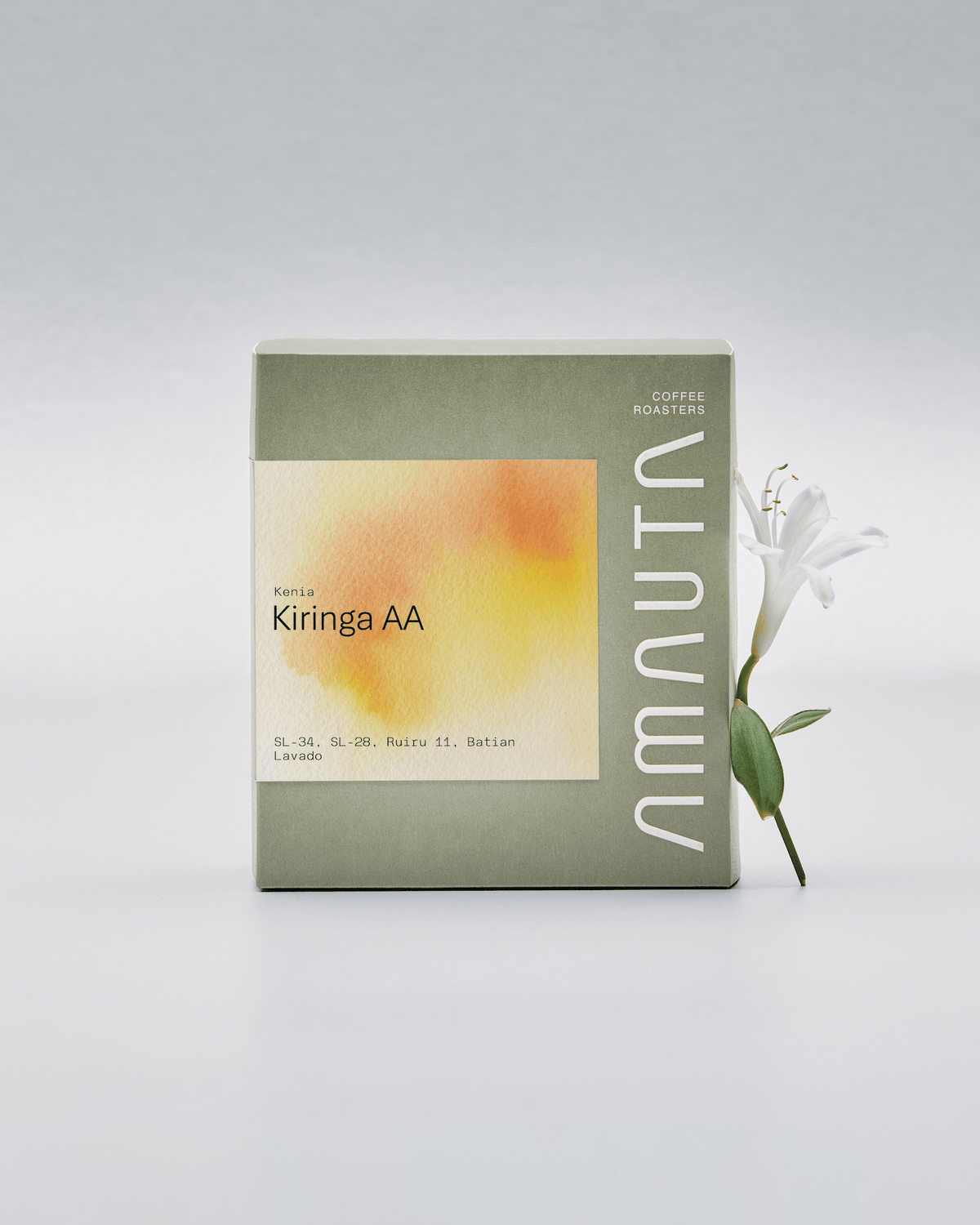 KENIA KIRINGA AA