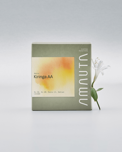 KENIA KIRINGA AA