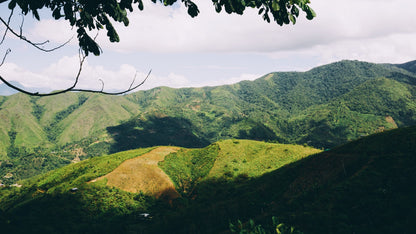 Rayos del Sol