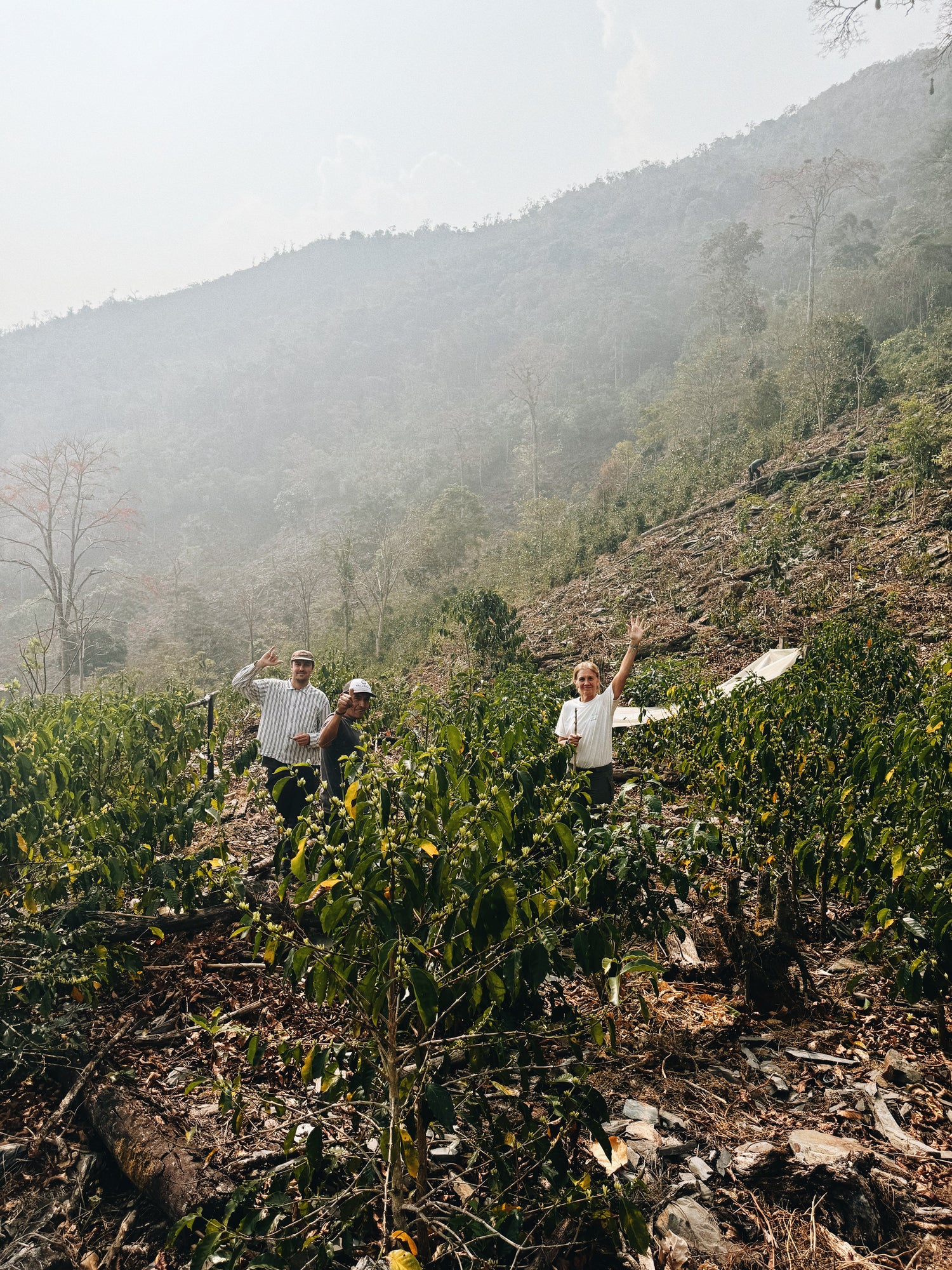 ERNESTO HUILCA HONEY